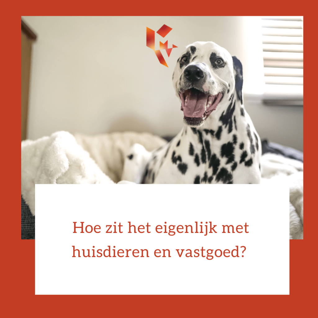 Hoe zit het eigenlijk met huisdieren en vastgoed MV Vastgoedmanagement