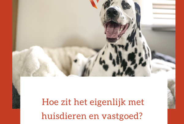 Hoe zit het eigenlijk met huisdieren en vastgoed MV Vastgoedmanagement